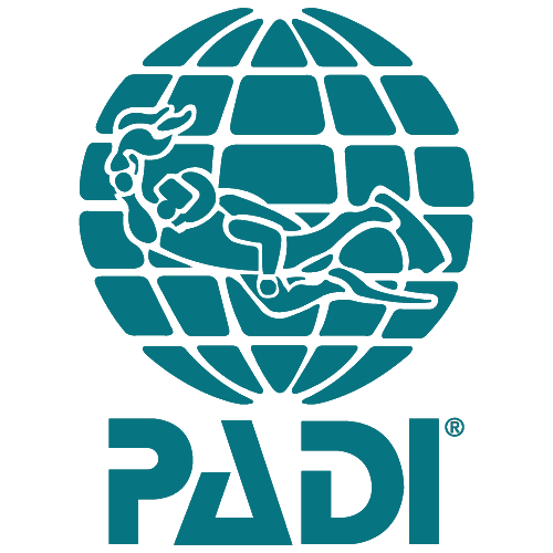 Padi Logo