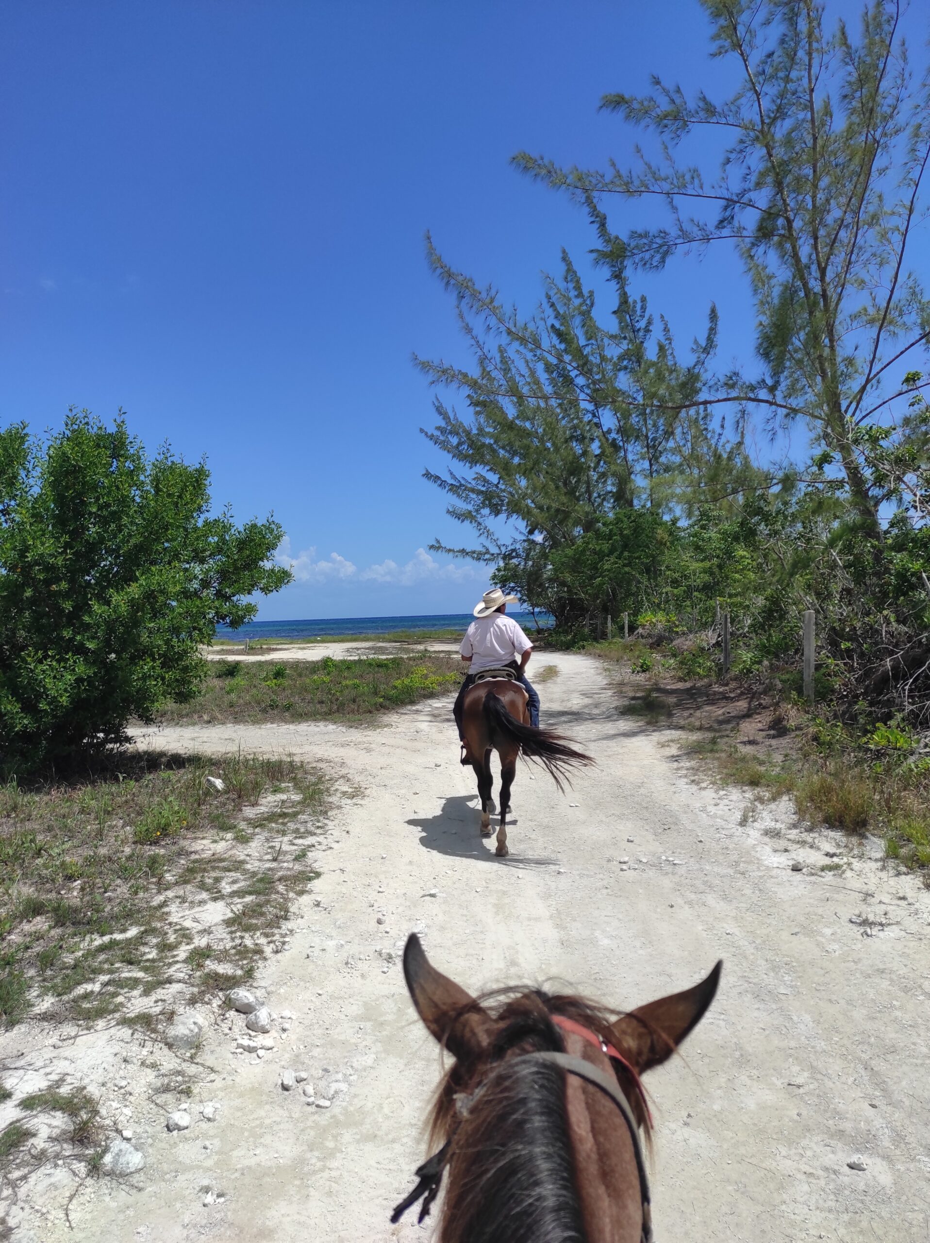 Horseriding Cozumel 1