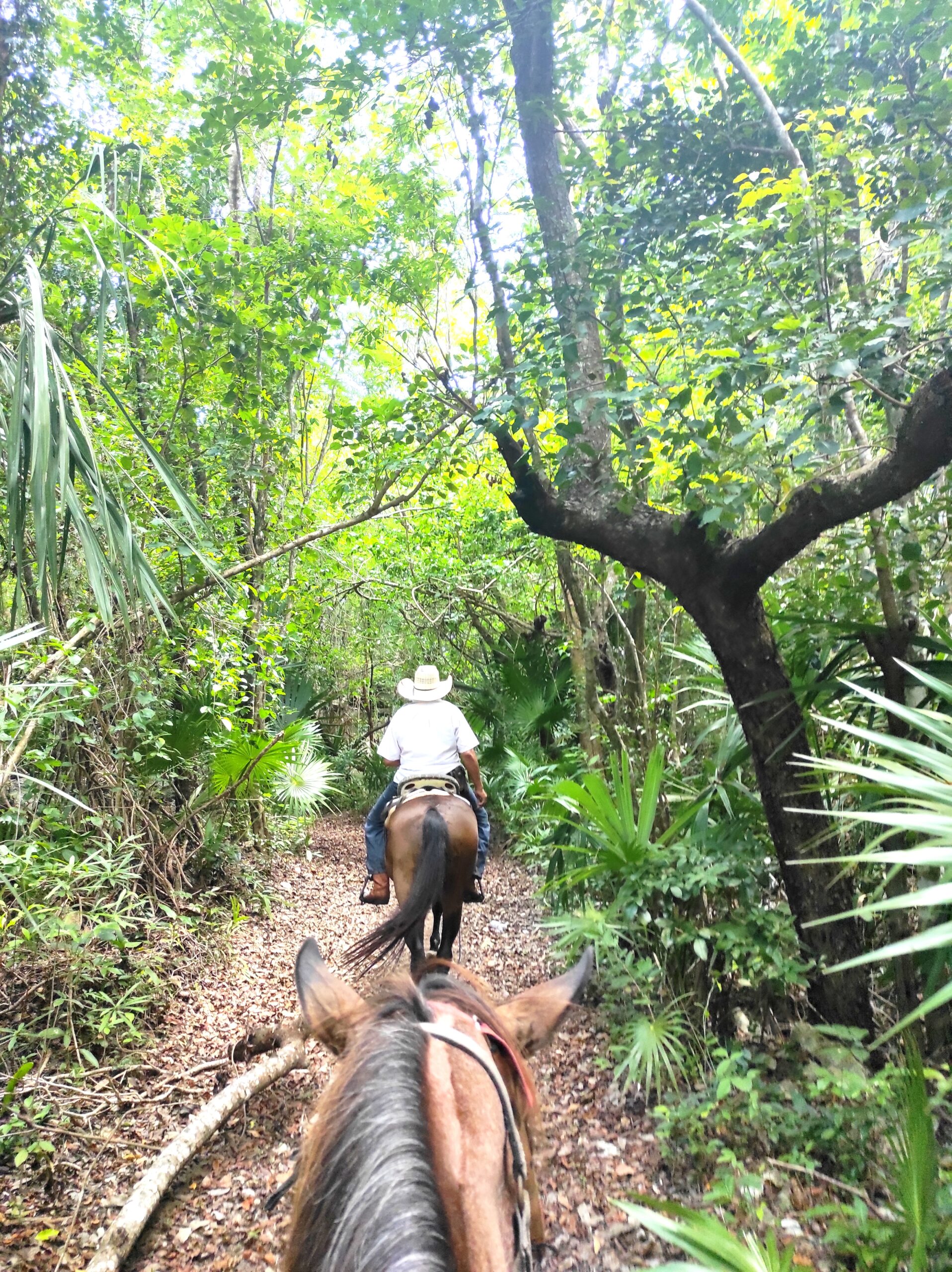 Horseriding Cozumel 2