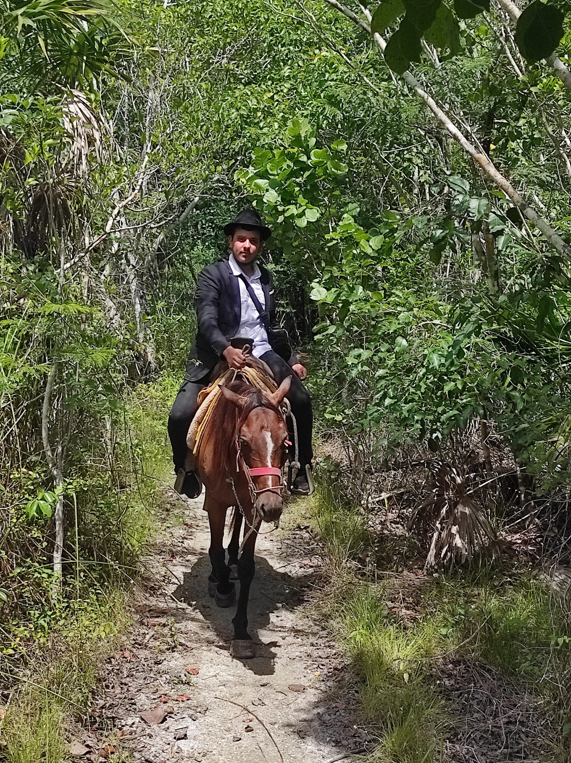 Horseriding Cozumel 4