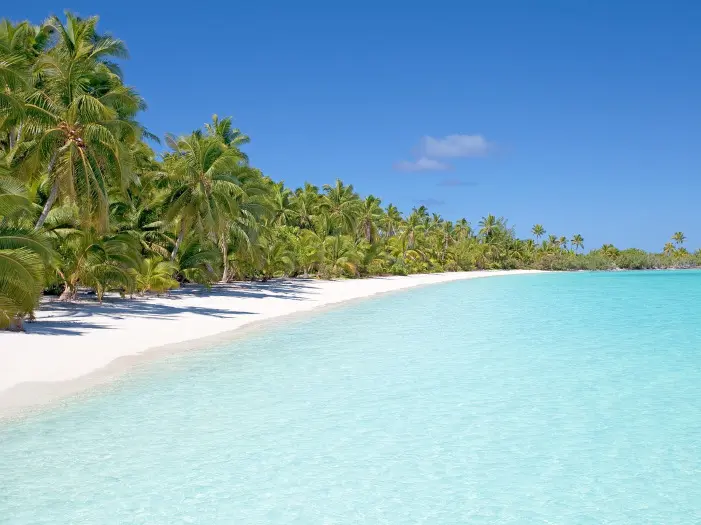 Amazing vue of the beach with palm trees and clear blue shallow Caribbean waters