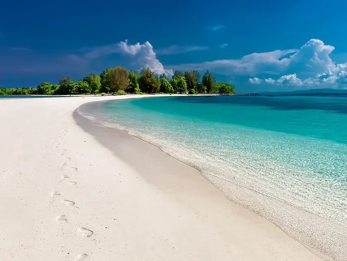 Superb vue of the beach with palm trees in the background and different shades of blue color Caribbean water.