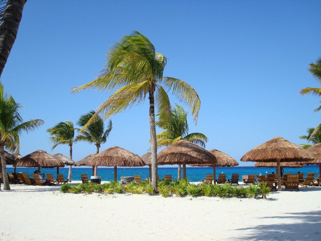 One of the 10 Best Beach Clubs in Cozumel beach club with white beautiful sand, palm trees, lounge chairs and thatched roof umbrellas